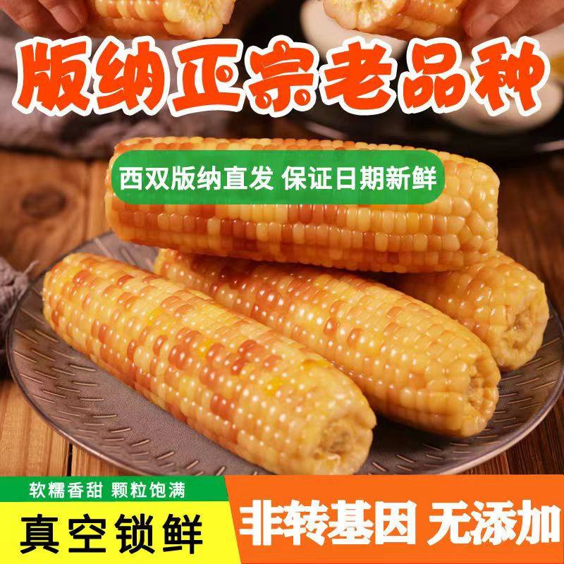 西双版纳花糯玉米软糯香甜老品种