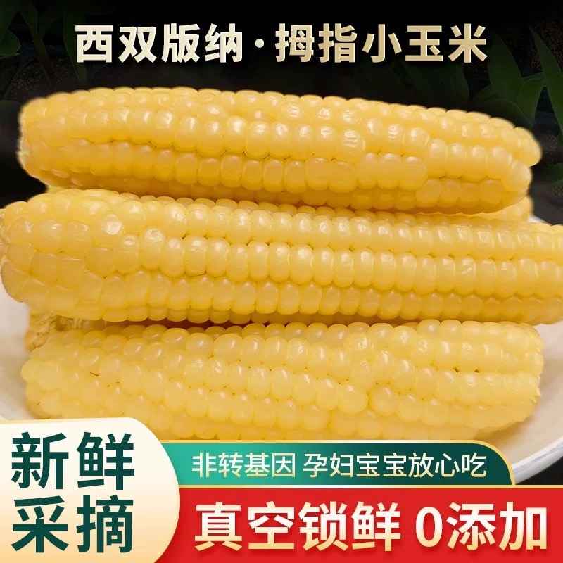 西双版纳正宗拇指玉米软糯香甜