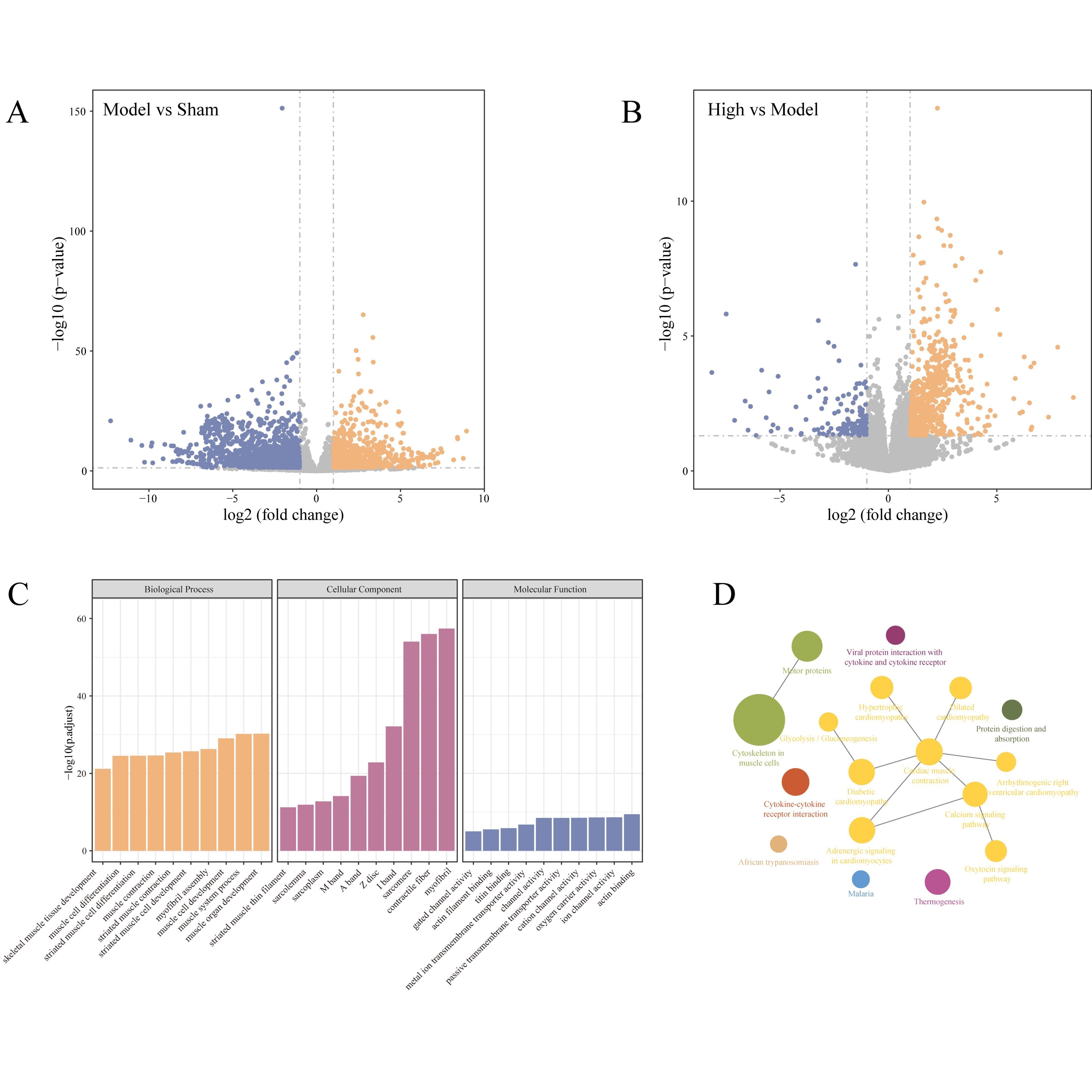 实验外包生信细胞实验 PCR WB 免疫细胞浸润 细胞培养增殖周期服