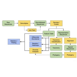 化DIY定制数据分析结果分析 分析个性 16s 18s扩增子数据qiime2安装