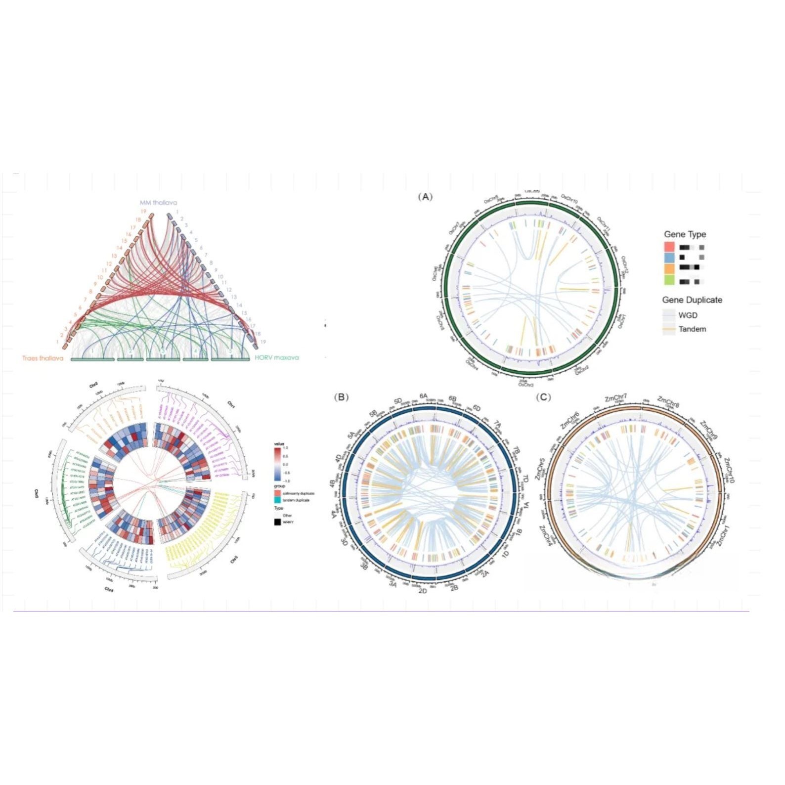 生信分析2-5分TCGA数据验证生信服务构建预后模型单细胞转录