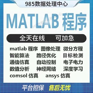 matlab代编程序机器学习通信仿真python神经网络图像处理优化算法
