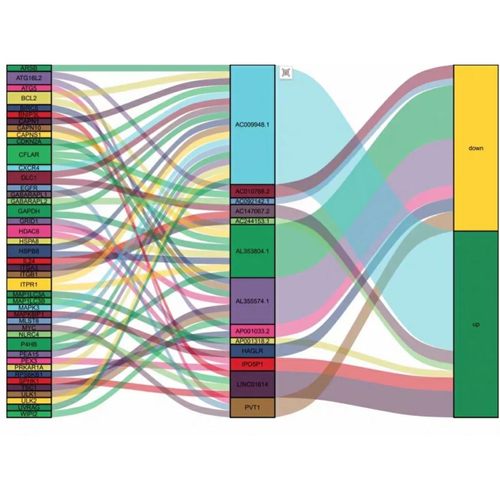 rstudio代做R语言辅导python写代码shiny可视化java编程r机器学习