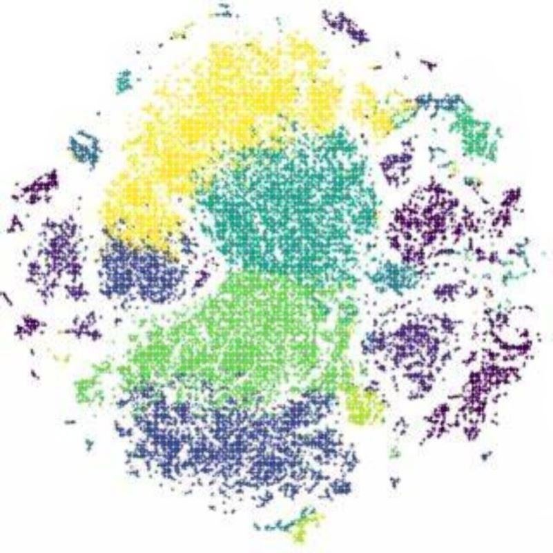 NCBI blast多序列比对服务