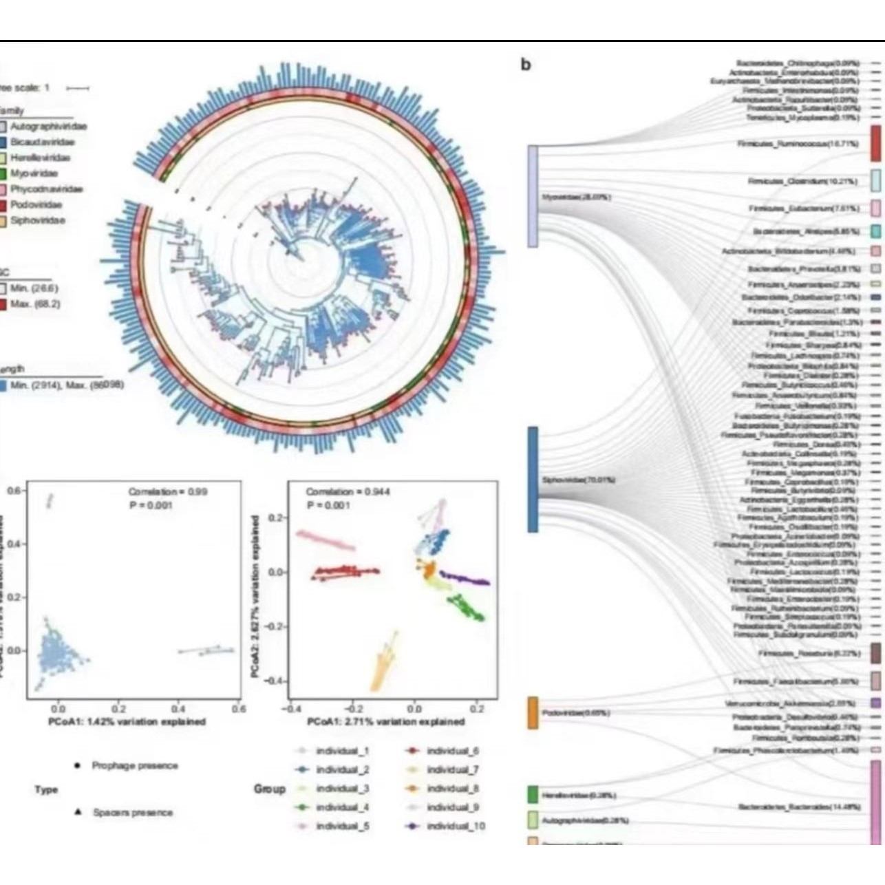 生信分析服务单细胞代谢组转录组医学科研TCGA/GEO/数据挖掘R语言