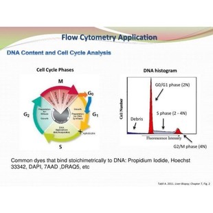 流式数据分析-流式细胞专业优质快速当日达modift,flowjo,FCAP