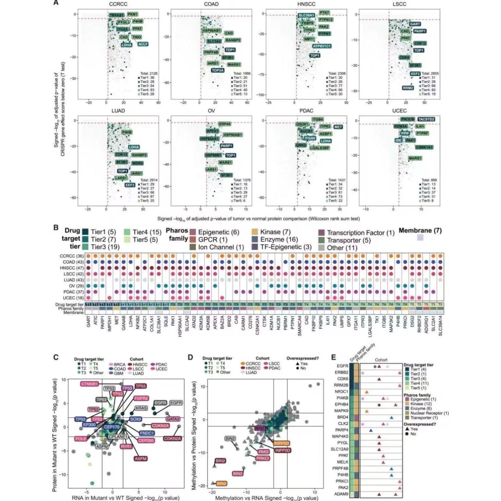 生信分析 TCGA/GEO数据库挖掘 单细胞转录组测序分析