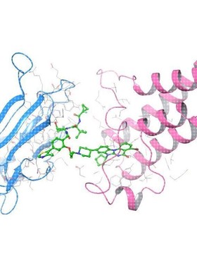 Protac分子的建模和设计 靶向蛋白降解 药物研发靶向蛋白降解