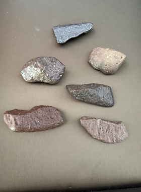 月球陨石原石，探险家协会组织开展的研究成果