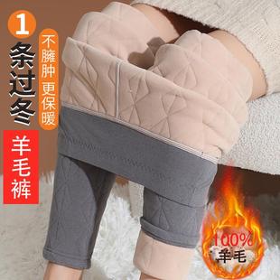 秋裤 羊毛保暖裤 高腰冬季 特厚加绒打底裤 羊绒 内穿秋冬加厚东北棉裤