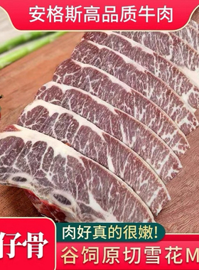 澳格芬安格斯原切澳洲进口雪花谷饲牛仔骨奶香M3台塑烤肉肋排16片