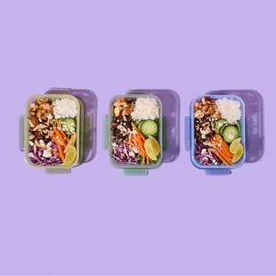 美国代购 多彩塑料饭盒密封防漏便当盒备餐盒可微波可冷冻5个 Ello