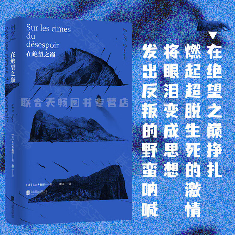 【正版】在绝望之巅法 “二十世纪的尼采”现代欧洲伟大的哲学家 E.M.齐奥朗初试啼声之作 简体中文译介版 西方哲学书籍