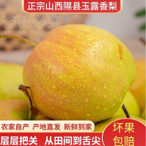 山西隰县玉露香梨新鲜水果礼盒装