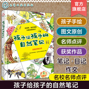 自然笔记 大自然科普百科 获共青团中央第四届全国青少年文化精品优秀作品 小学生写作绘画书籍 14岁手绘原创 孩子给孩子