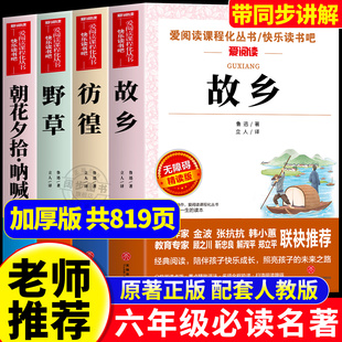 作品全集适合7年级阅读 彷徨朝花夕拾呐喊狂人日记阿Q正传鲁迅经典 书籍 六年级必读课外书老师推荐 全套4册故乡野草鲁迅原著正版