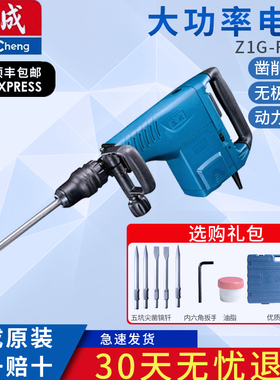 东成电镐Z1G-FF-10专业混凝土石材凿削拆墙开槽电镐电动工具