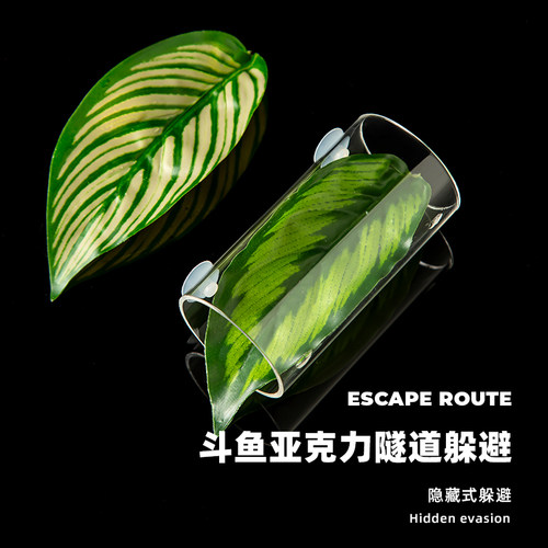 斗鱼躲避屋休息叶亚克力隧道窝