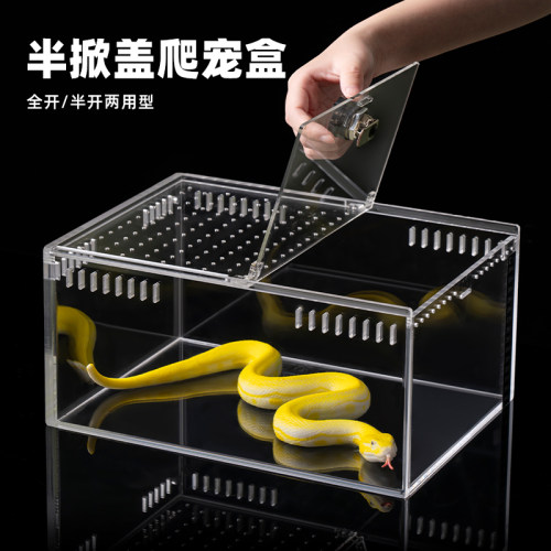 防逃逸带锁亚克力爬宠饲养盒蛇盒