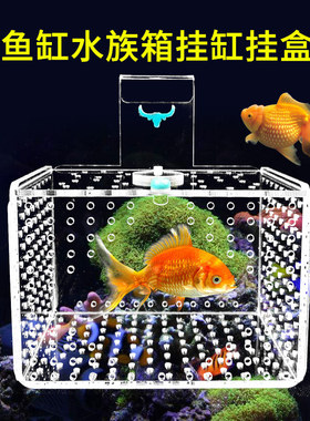 保护悬浮式亚克力大小号斗鱼苗