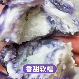 昭通大山包土豆新鲜紫色转转乌洋芋高山小土豆蔬菜洋芋