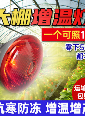 冬季大棚增温灯温室蔬菜花卉补光加热烤灯动植物养殖取暖保温灯