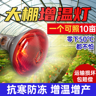 冬季大棚增温灯温室蔬菜花卉补光加热烤灯动植物养殖取暖保温灯