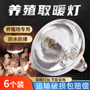 小鸡育雏保温灯养殖场专用仔猪用保暖灯加热烤灯兽用猪舍取暖灯泡