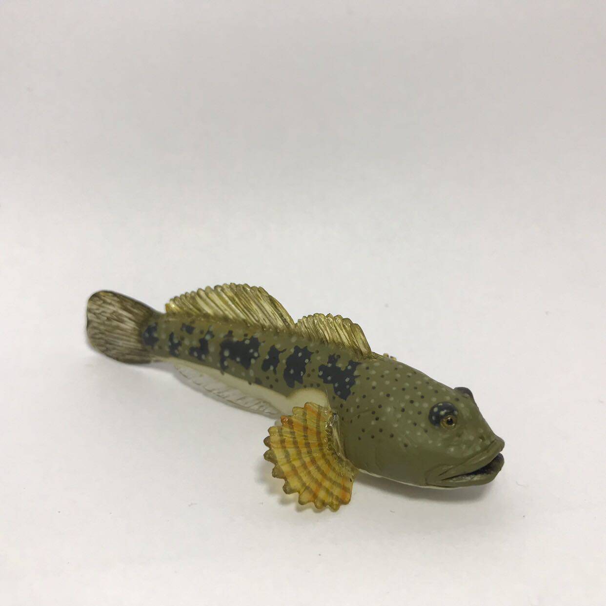 COLORATA 나비 협회 일본 민물고기 모형 장난감 NO. 1 무딘 머리 스컬핀 길이 약 7.5CM