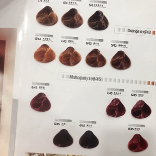 看色板选色美发用品彩膏黑膏酒红膏理发店发廊灰色板栗色酒红色