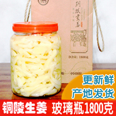 兰香缘铜陵贡姜农家大院生姜脱水白姜 糖醋泡姜酱菜鲜嫩姜咸味姜