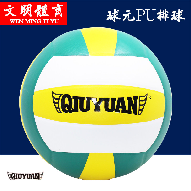 Ballon de volley-ball - Ref 2013556 Image 1