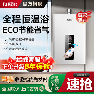 万家乐燃气热水器天然液化气家用TP1智能变升节能强排12L13 16升