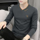 t恤秋衣男修身 新款 刺绣上衣服潮 2025秋季 v领长袖 莫代尔男士 打底衫