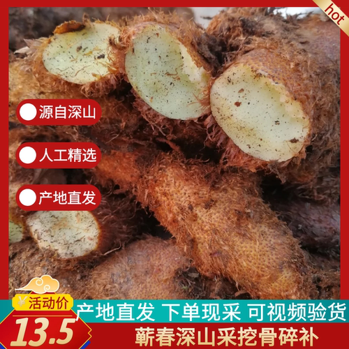 骨碎补爬巴岩石板姜毛姜接骨猴申姜中药材新鲜现挖500g包邮