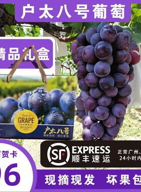陕西省户太八号新鲜葡萄礼盒感亲