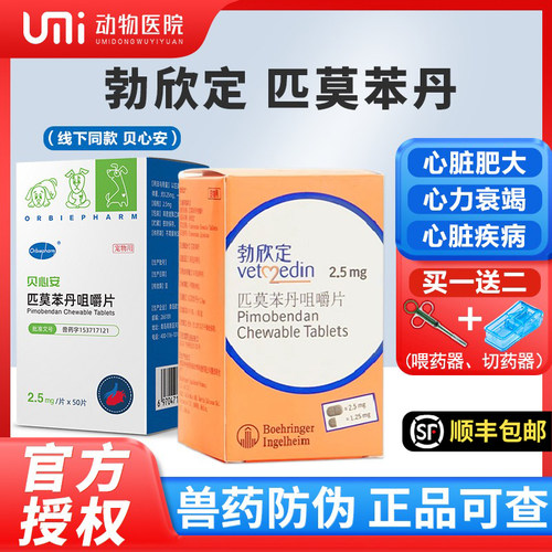 【授权店】德国匹莫苯丹狗狗