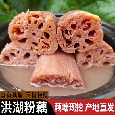 洪湖煲汤粉藕糯米藕面藕粉糯香甜