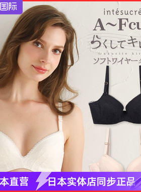 intesucre/安秀丽甜美简约夏季薄款文胸素雅光面蕾丝内衣ibt316