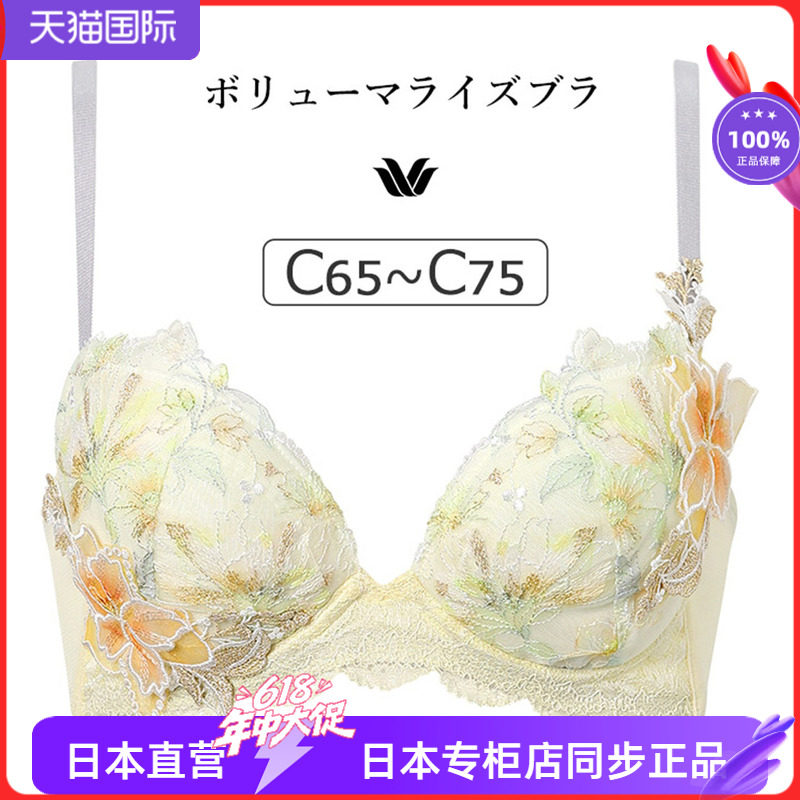 小胸显大收副乳性感刺绣蕾丝文胸