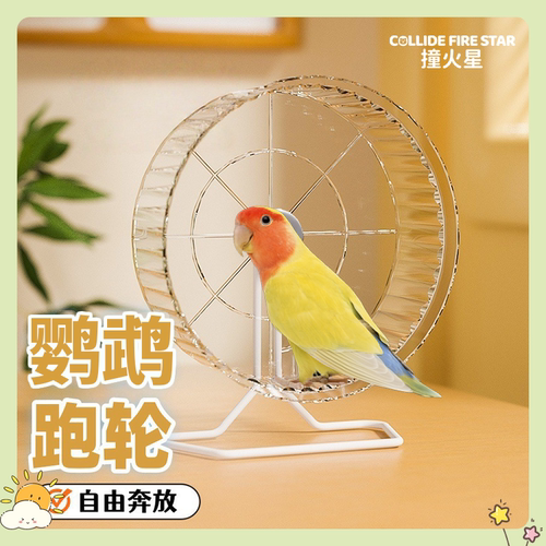 鹦鹉跑轮玩具超大滚轮支架