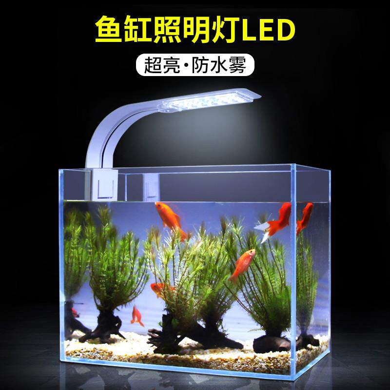 水族馆led灯价格 水族馆led灯图片 星期三