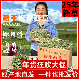 头茬晒干提摩西草兔子草荷兰猪龙猫豚鼠粮食北提牧草磨牙岷县羊驼