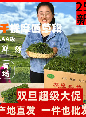 新5A烘干提摩西草段兔子干草荷兰猪粮食豚鼠龙猫磨牙饲料岷县牧草