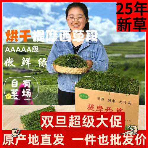 兔友圈热推款5A提摩西草段兔子草