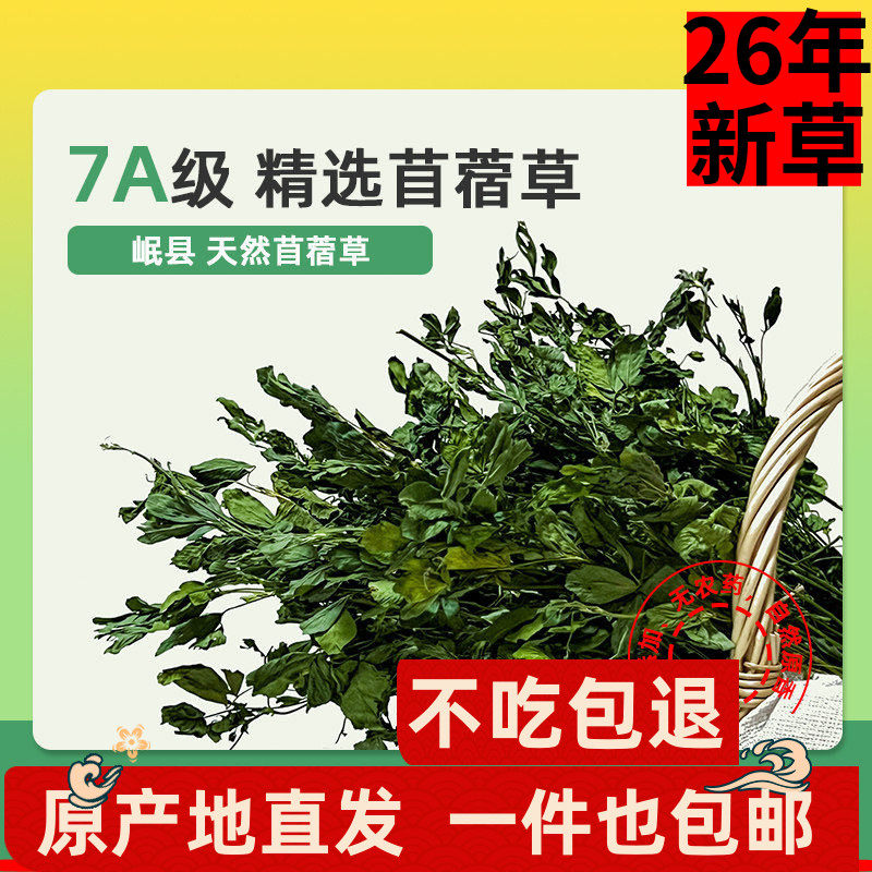 7A级紫花苜蓿草兔子草龙猫荷兰猪