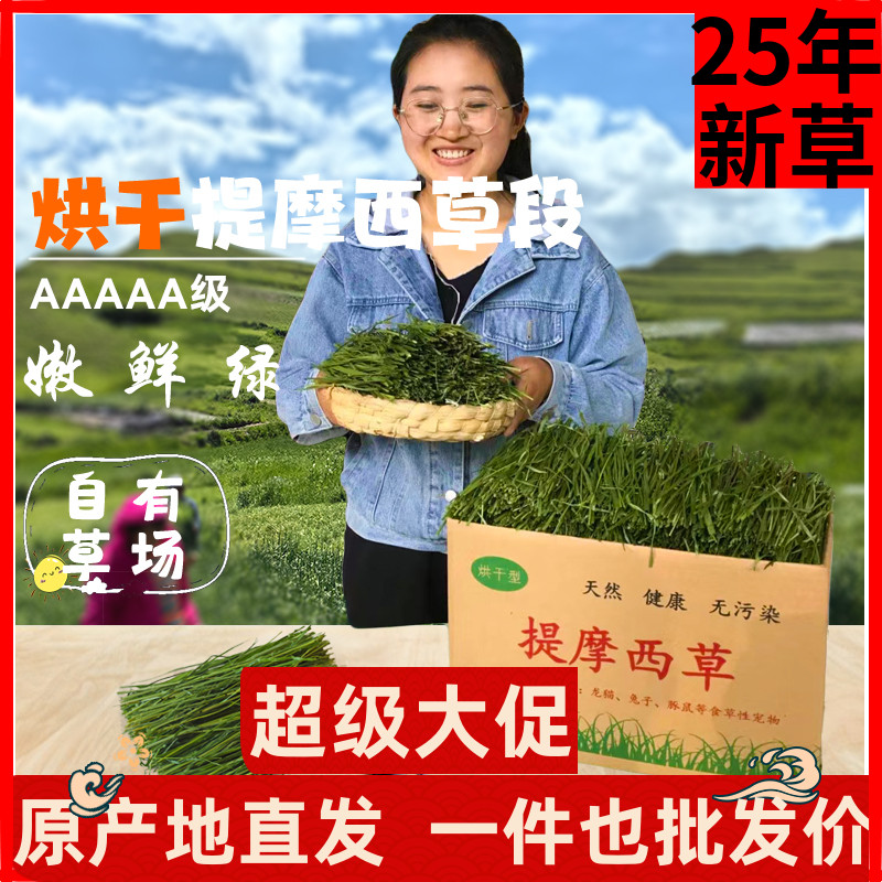 兔友圈热推款5A提摩西草段兔子草