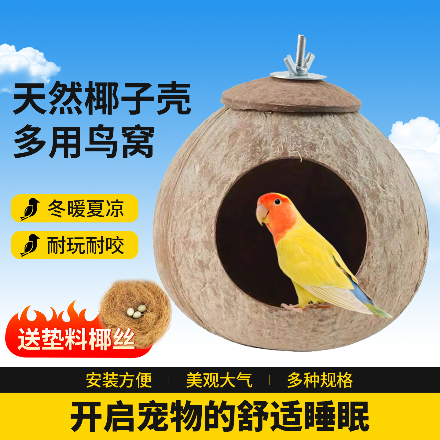 椰子壳鸟窝中小型鹦鹉天然