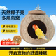 椰子壳鸟窝中小型鹦鹉天然带毛打磨小宠巢窝实用鸟窝繁殖箱