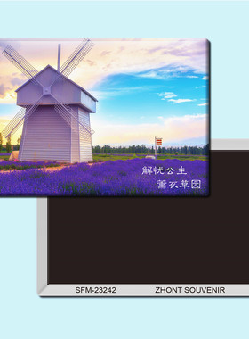 新疆解忧公主薰衣草园旅游纪念品磁性冰箱贴磁贴简约装饰贴23242